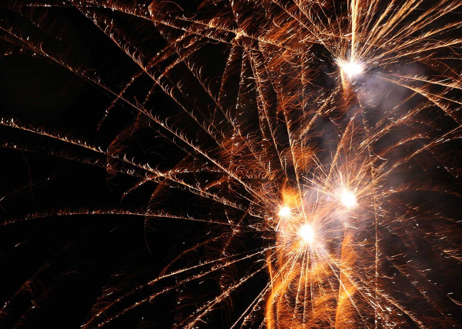 Springbach-Mühle Belzig OHG - Silvester 2025