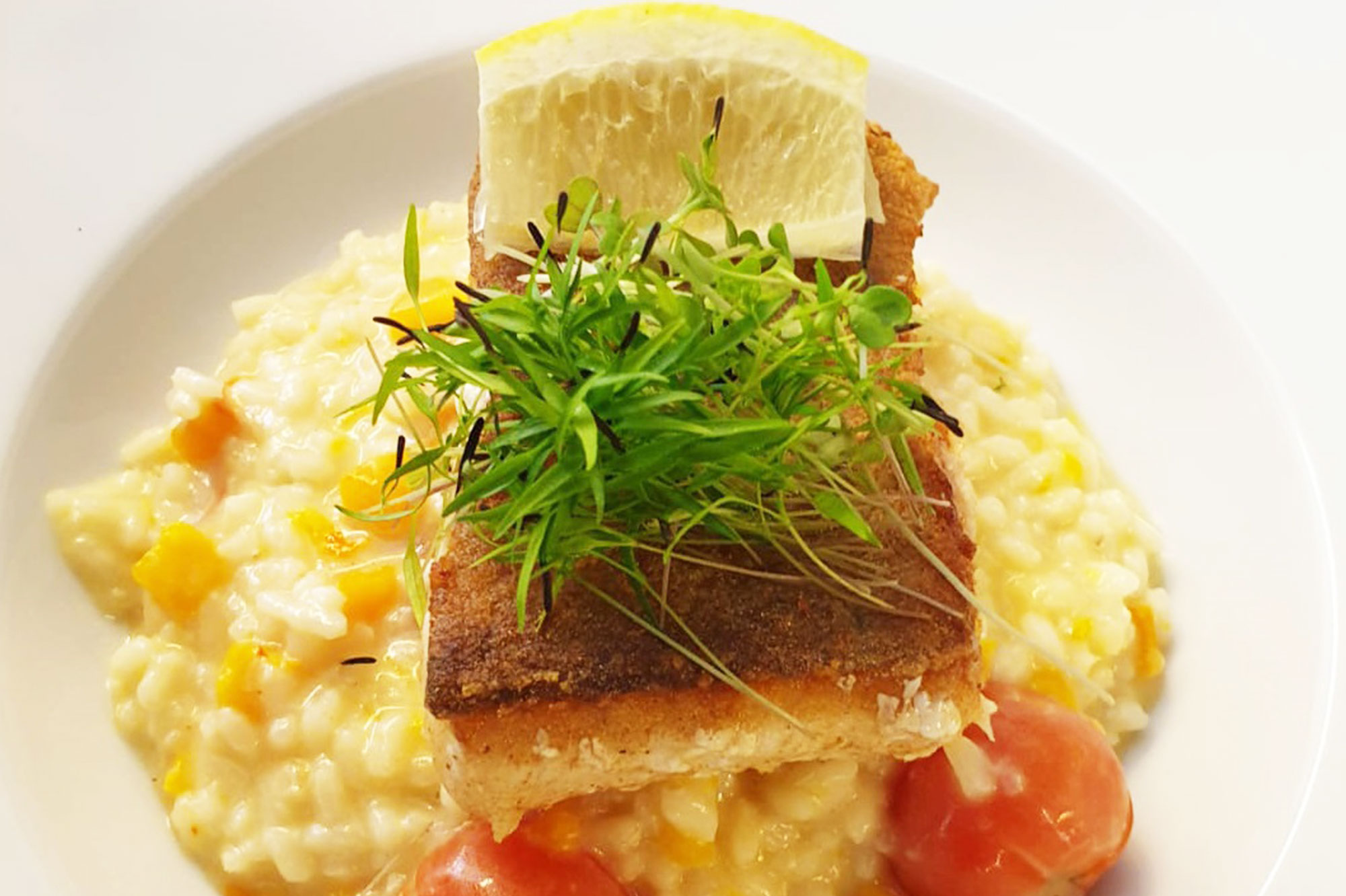 Springbach-Mühle Belzig OHG - Restaurant, Speisekarte, Risotto Fisch