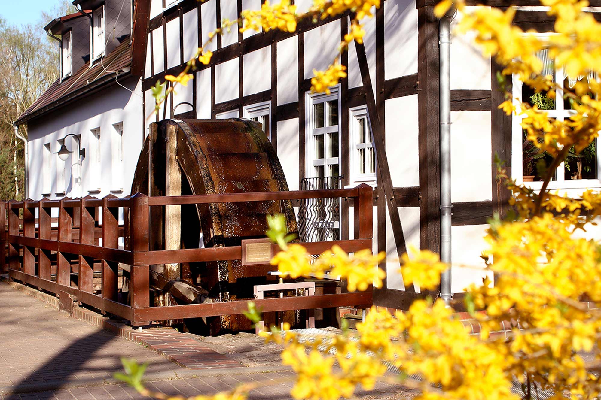 Springbach-Mühle Belzig OHG - Frühling