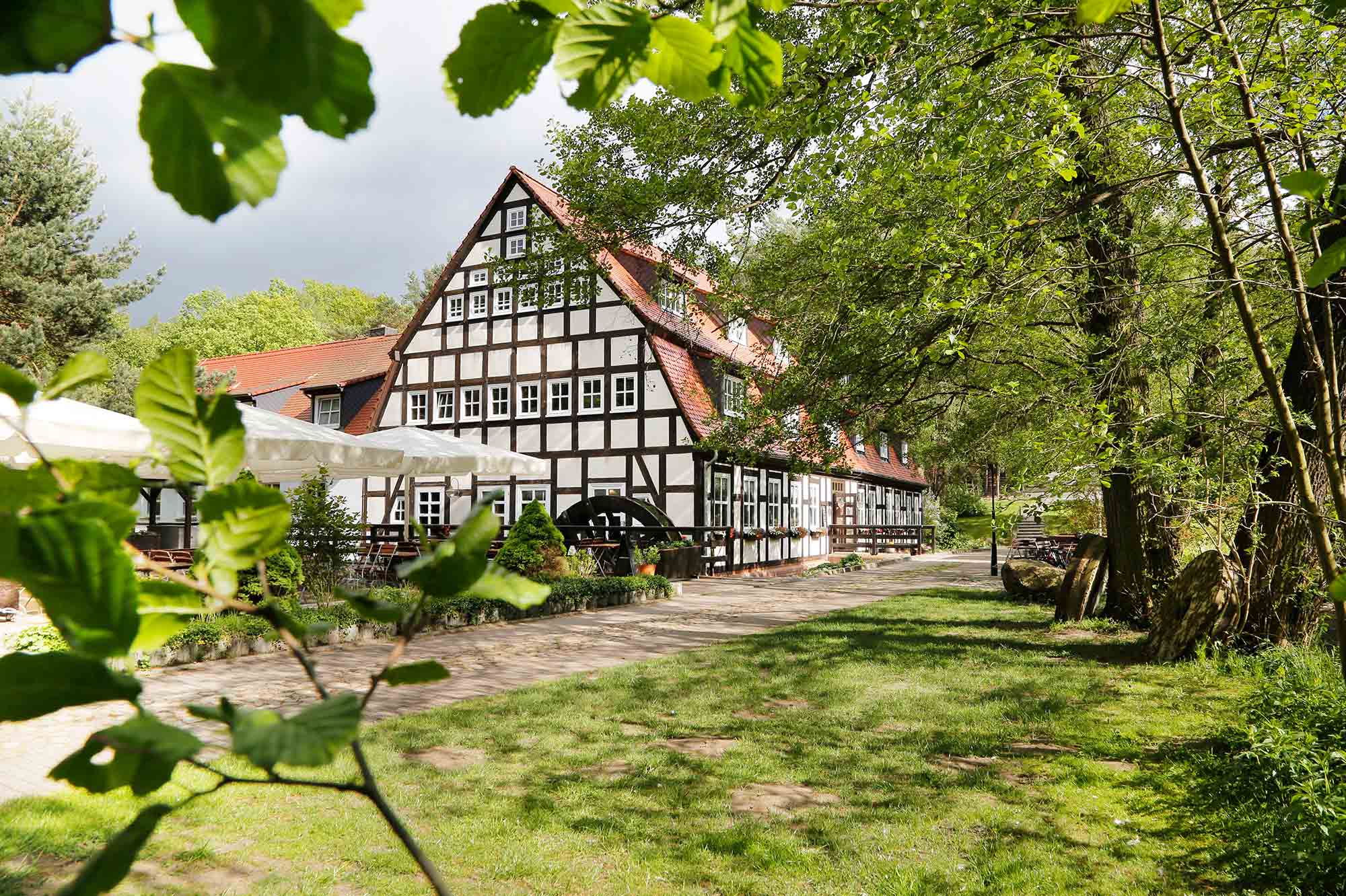 Springbach-Mühle Belzig OHG - Sommer