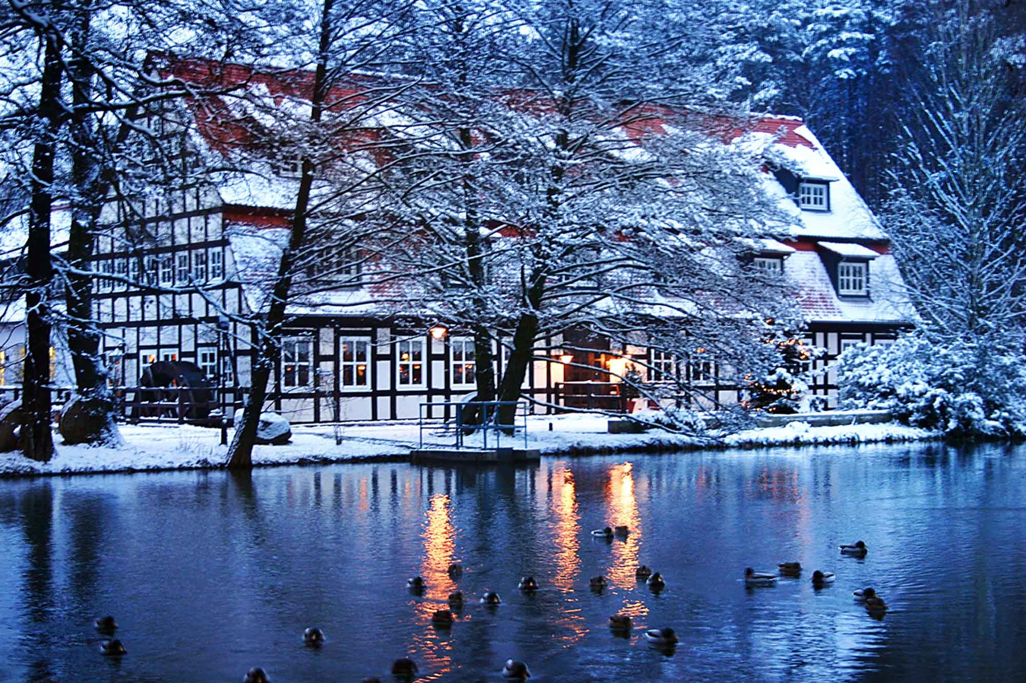 Springbach-Mühle Belzig OHG - Winter